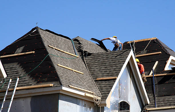 Best Roof Moss and Algae Removal  in Chisholm, MN